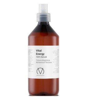 VITAL ENERGY 500ml